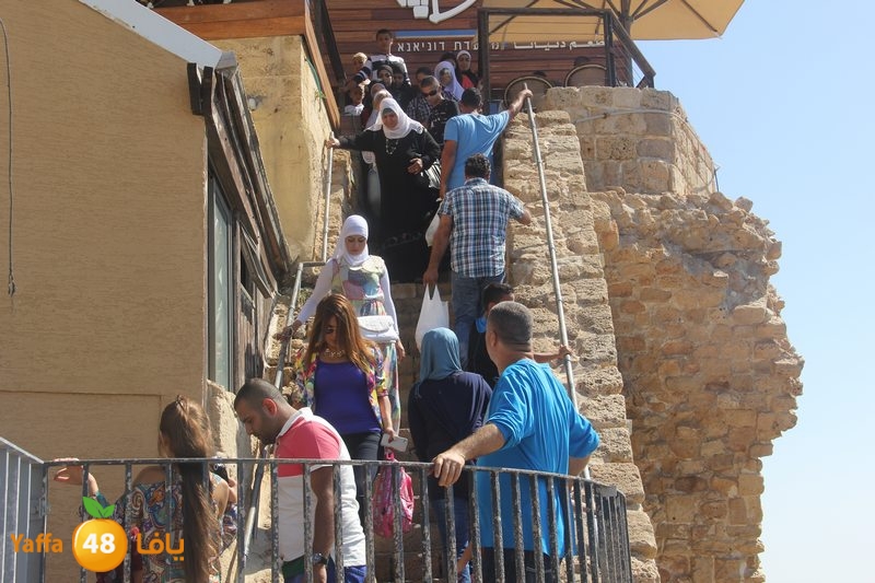 re7la ludj31 (51).JPG